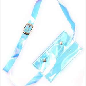 Transparent Fashion Belt Bag